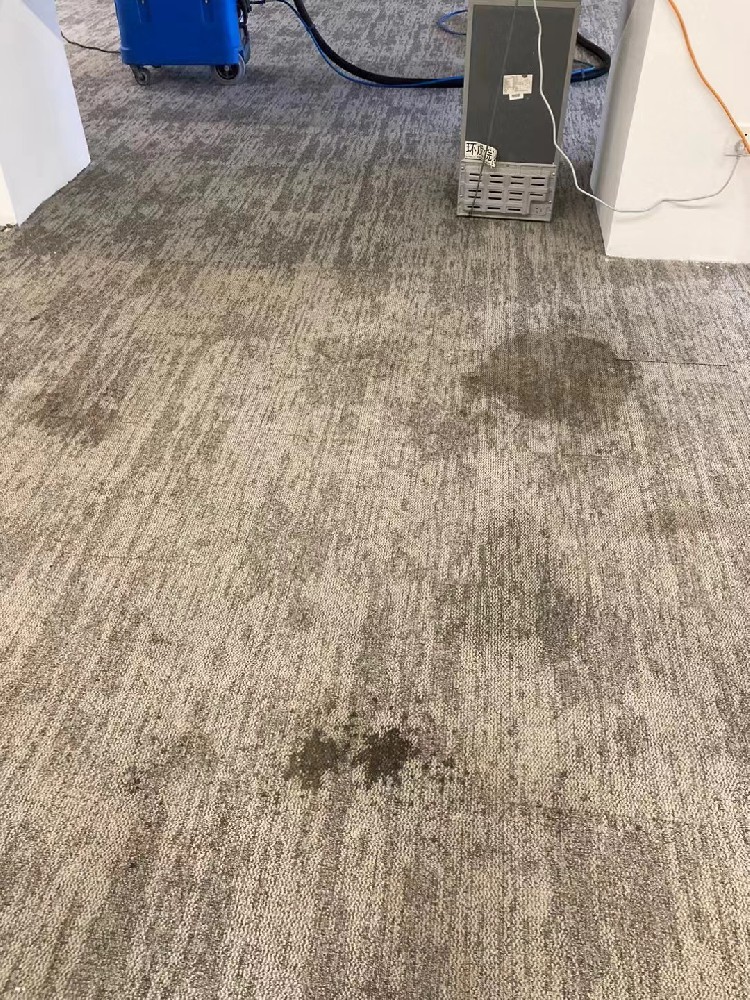 合肥办公室地毯清洗服务哪家好